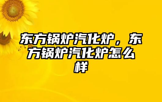 東方鍋爐汽化爐，東方鍋爐汽化爐怎么樣