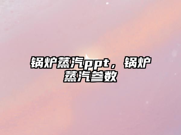 鍋爐蒸汽ppt，鍋爐蒸汽參數(shù)