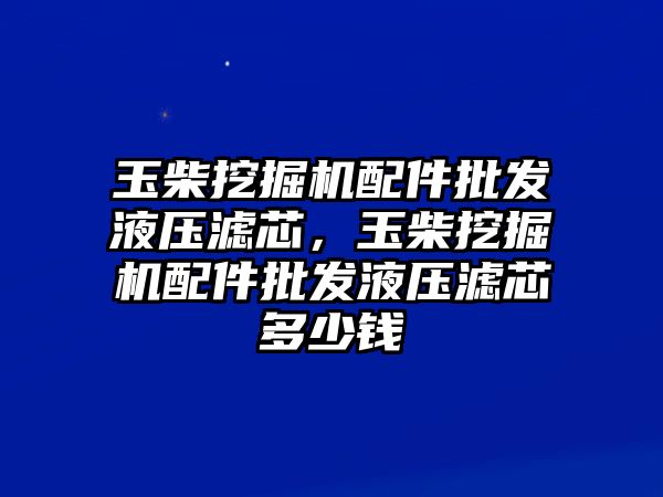 玉柴挖掘機配件批發(fā)液壓濾芯，玉柴挖掘機配件批發(fā)液壓濾芯多少錢