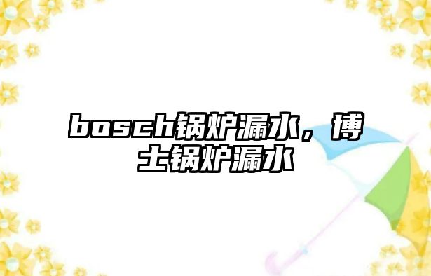 bosch鍋爐漏水，博士鍋爐漏水