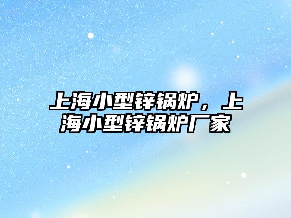 上海小型鋅鍋爐，上海小型鋅鍋爐廠家