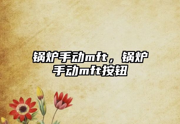 鍋爐手動(dòng)mft，鍋爐手動(dòng)mft按鈕