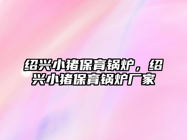 紹興小豬保育鍋爐，紹興小豬保育鍋爐廠家