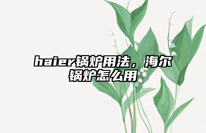 haier鍋爐用法，海爾鍋爐怎么用