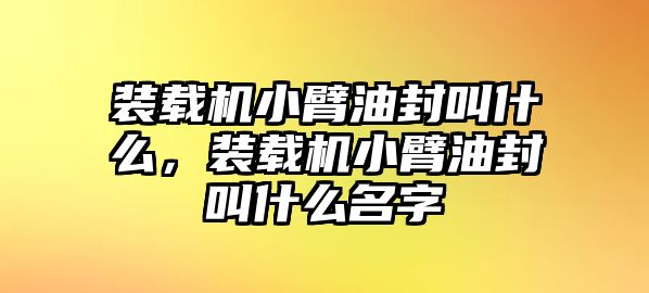 裝載機(jī)小臂油封叫什么，裝載機(jī)小臂油封叫什么名字