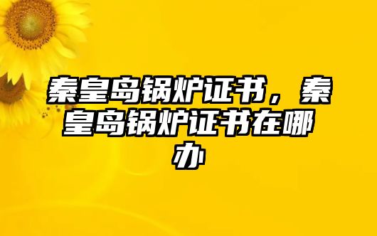 秦皇島鍋爐證書，秦皇島鍋爐證書在哪辦