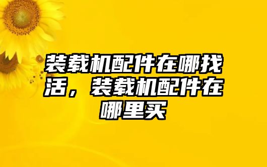 裝載機(jī)配件在哪找活，裝載機(jī)配件在哪里買