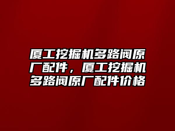 廈工挖掘機(jī)多路閥原廠配件，廈工挖掘機(jī)多路閥原廠配件價(jià)格