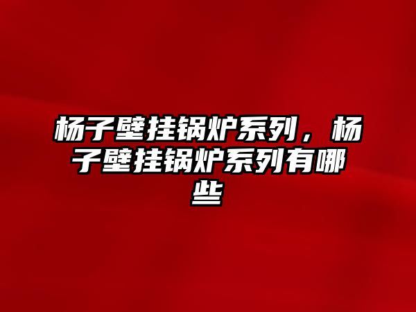 楊子壁掛鍋爐系列，楊子壁掛鍋爐系列有哪些