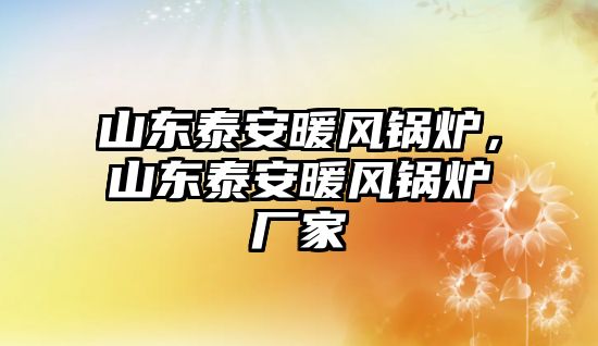 山東泰安暖風(fēng)鍋爐，山東泰安暖風(fēng)鍋爐廠家