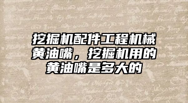 挖掘機配件工程機械黃油嘴，挖掘機用的黃油嘴是多大的