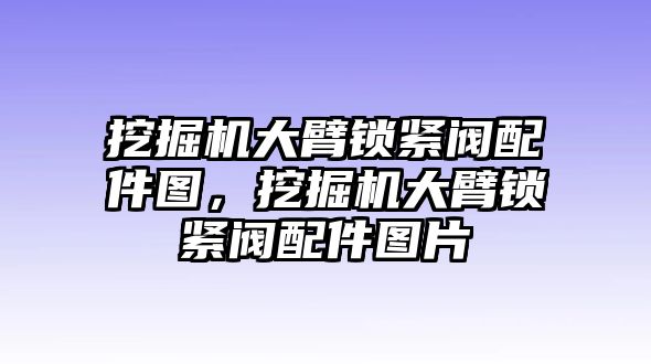 挖掘機(jī)大臂鎖緊閥配件圖，挖掘機(jī)大臂鎖緊閥配件圖片