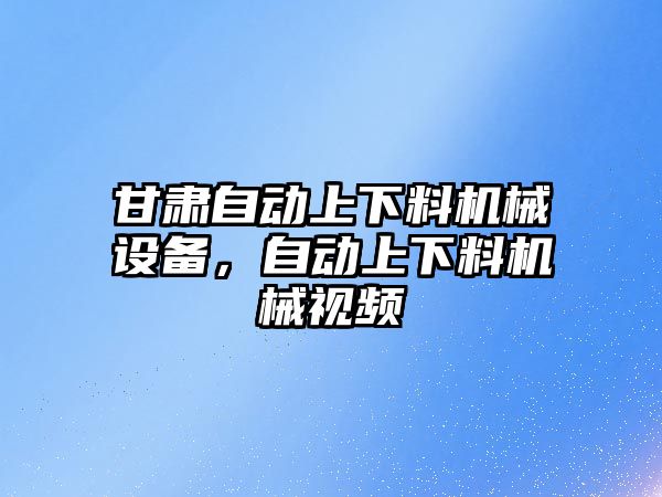 甘肅自動上下料機械設(shè)備，自動上下料機械視頻