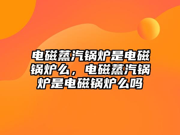 電磁蒸汽鍋爐是電磁鍋爐么，電磁蒸汽鍋爐是電磁鍋爐么嗎