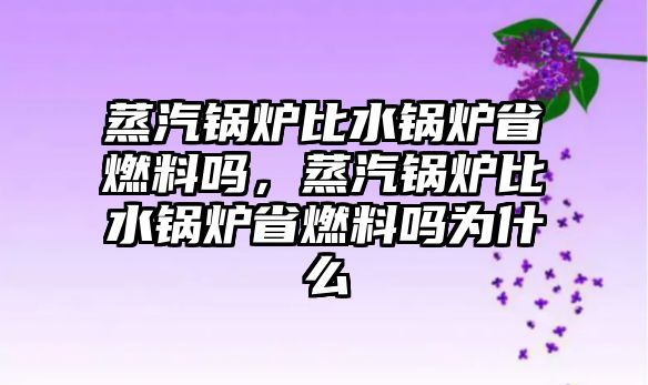 蒸汽鍋爐比水鍋爐省燃料嗎，蒸汽鍋爐比水鍋爐省燃料嗎為什么