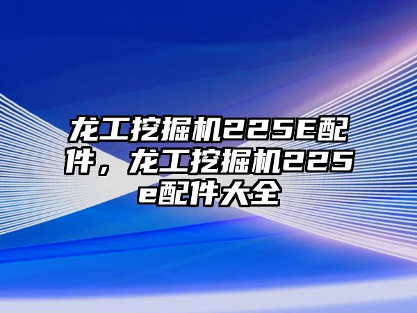 龍工挖掘機225E配件，龍工挖掘機225e配件大全