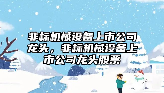 非標(biāo)機械設(shè)備上市公司龍頭，非標(biāo)機械設(shè)備上市公司龍頭股票