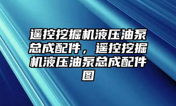 遙控挖掘機液壓油泵總成配件，遙控挖掘機液壓油泵總成配件圖