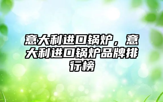 意大利進(jìn)口鍋爐，意大利進(jìn)口鍋爐品牌排行榜