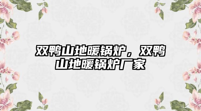 雙鴨山地暖鍋爐，雙鴨山地暖鍋爐廠家