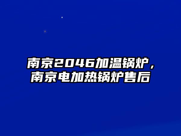 南京2046加溫鍋爐，南京電加熱鍋爐售后