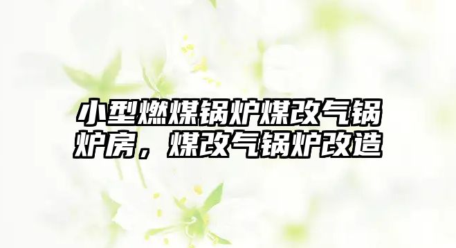 小型燃煤鍋爐煤改氣鍋爐房，煤改氣鍋爐改造