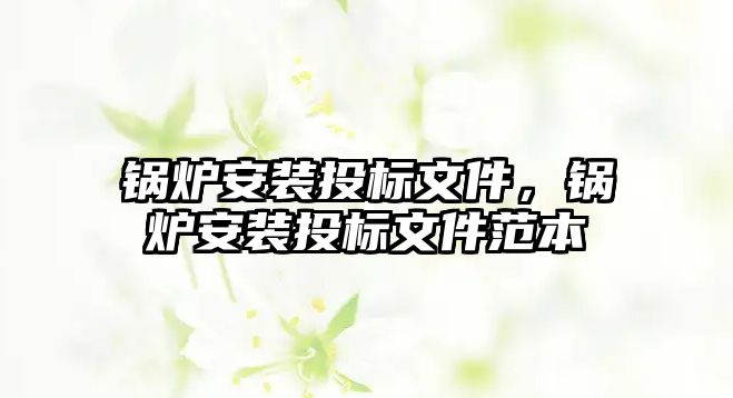 鍋爐安裝投標(biāo)文件，鍋爐安裝投標(biāo)文件范本