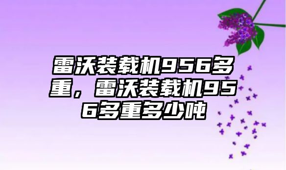 雷沃裝載機956多重，雷沃裝載機956多重多少噸