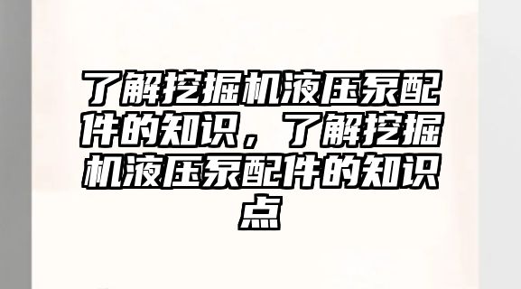 了解挖掘機液壓泵配件的知識，了解挖掘機液壓泵配件的知識點