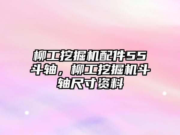 柳工挖掘機配件55斗軸，柳工挖掘機斗軸尺寸資料