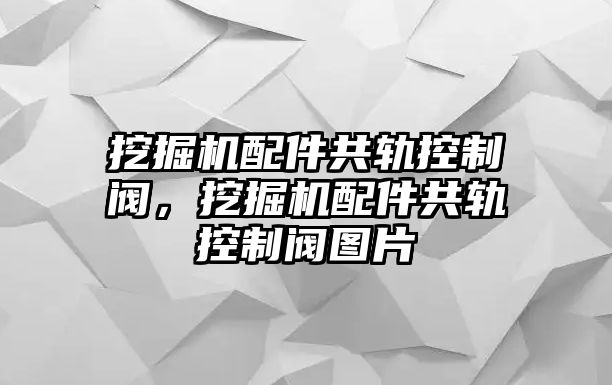 挖掘機(jī)配件共軌控制閥，挖掘機(jī)配件共軌控制閥圖片