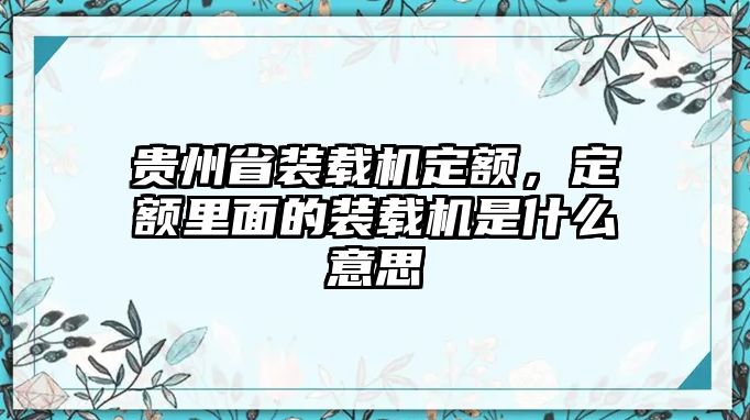 貴州省裝載機定額，定額里面的裝載機是什么意思