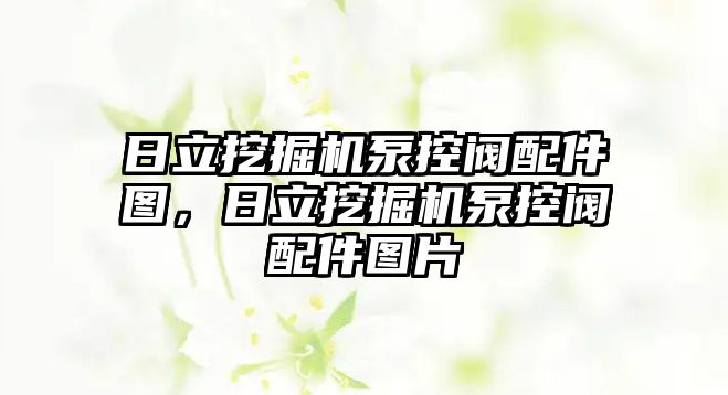 日立挖掘機泵控閥配件圖，日立挖掘機泵控閥配件圖片