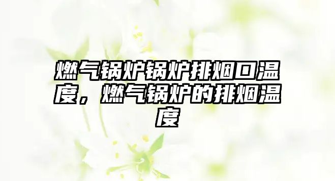 燃?xì)忮仩t鍋爐排煙口溫度，燃?xì)忮仩t的排煙溫度