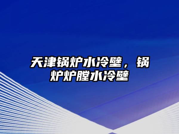 天津鍋爐水冷壁，鍋爐爐膛水冷壁