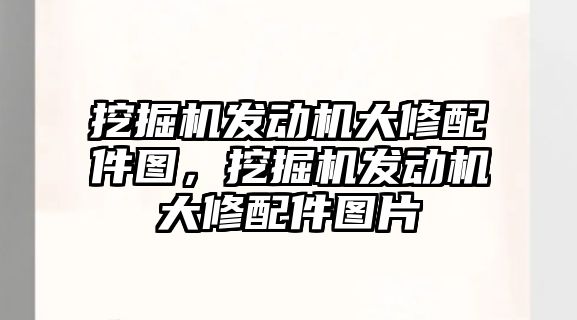 挖掘機發(fā)動機大修配件圖，挖掘機發(fā)動機大修配件圖片