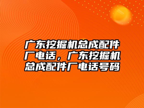 廣東挖掘機(jī)總成配件廠電話，廣東挖掘機(jī)總成配件廠電話號(hào)碼