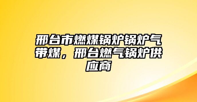 邢臺(tái)市燃煤鍋爐鍋爐氣帶煤，邢臺(tái)燃?xì)忮仩t供應(yīng)商