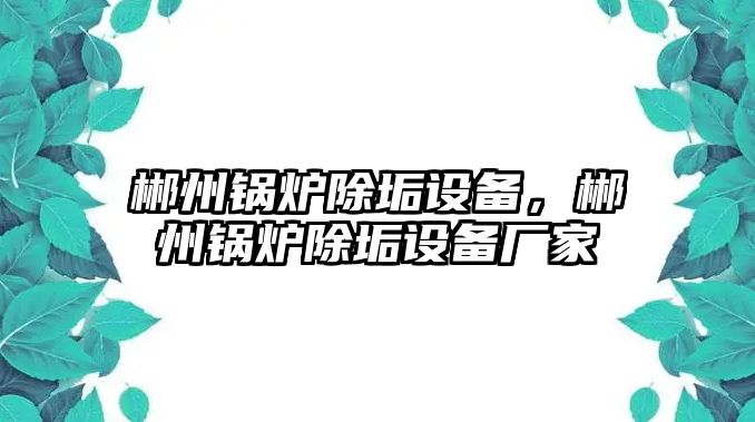 郴州鍋爐除垢設(shè)備，郴州鍋爐除垢設(shè)備廠家