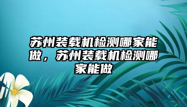 蘇州裝載機(jī)檢測哪家能做，蘇州裝載機(jī)檢測哪家能做