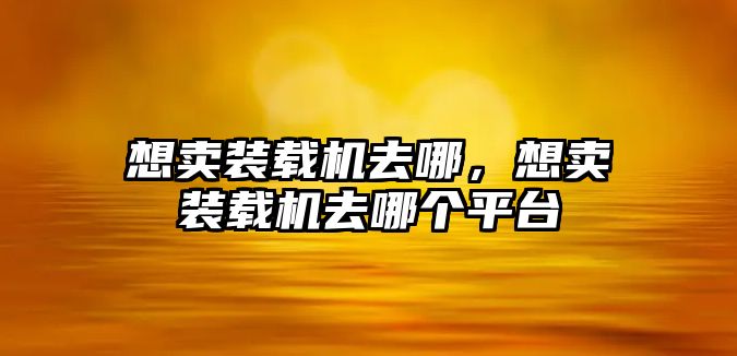 想賣裝載機(jī)去哪，想賣裝載機(jī)去哪個(gè)平臺(tái)