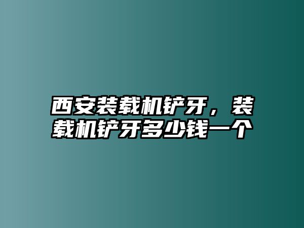 西安裝載機鏟牙，裝載機鏟牙多少錢一個