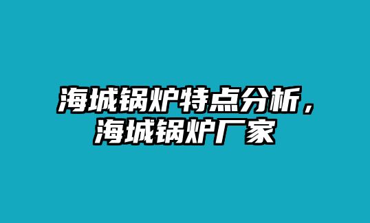 海城鍋爐特點分析，海城鍋爐廠家