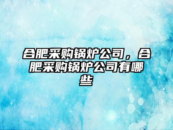 合肥采購鍋爐公司，合肥采購鍋爐公司有哪些