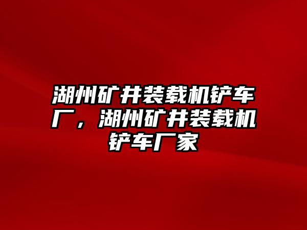 湖州礦井裝載機(jī)鏟車廠，湖州礦井裝載機(jī)鏟車廠家