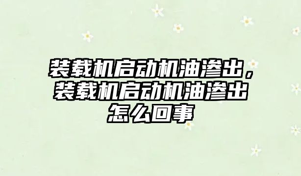 裝載機啟動機油滲出，裝載機啟動機油滲出怎么回事