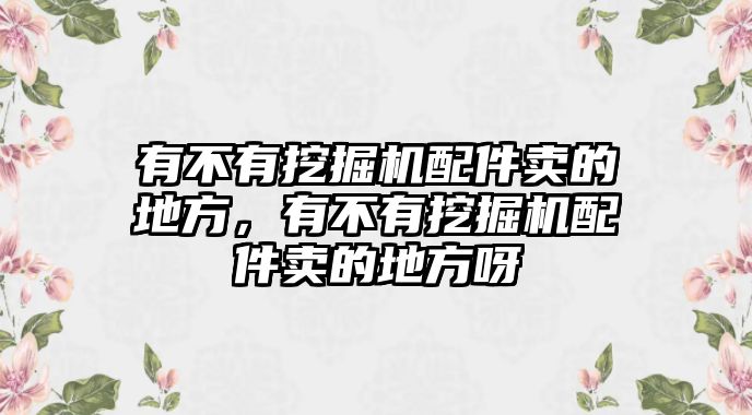 有不有挖掘機(jī)配件賣的地方，有不有挖掘機(jī)配件賣的地方呀