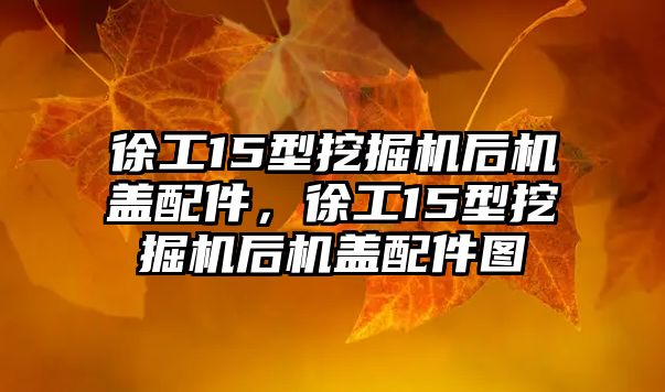 徐工15型挖掘機后機蓋配件，徐工15型挖掘機后機蓋配件圖