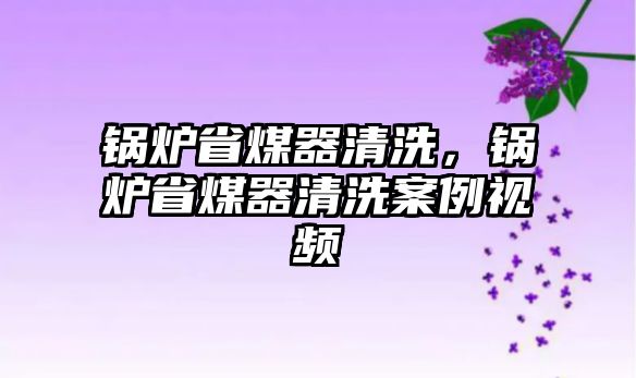 鍋爐省煤器清洗，鍋爐省煤器清洗案例視頻