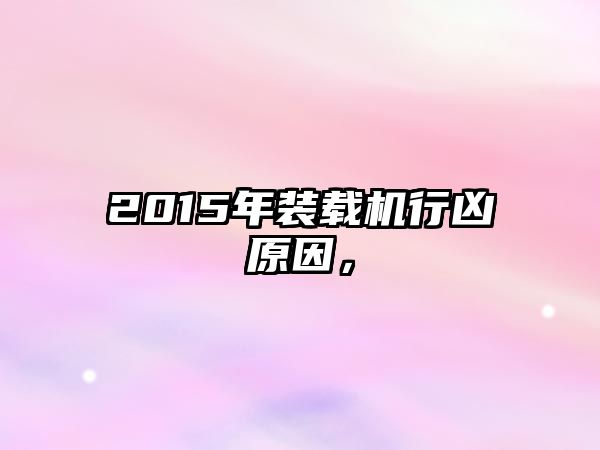 2015年裝載機行兇原因，